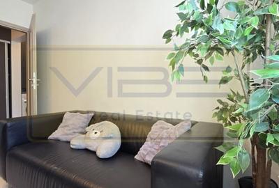 Apartament cu 3 camere decomandat, mobilat în Păcurari - 12