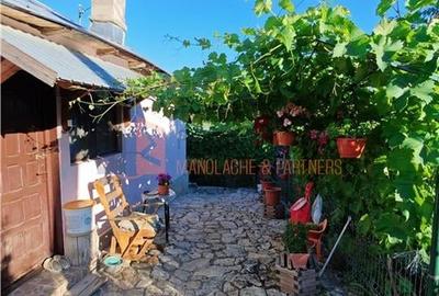 EXCLUSIVITATE! Casa+teren si cabana de lemn zona Naeni - 13