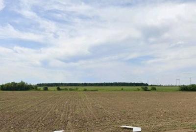 Teren de 200000 mp, în Oarja - 2