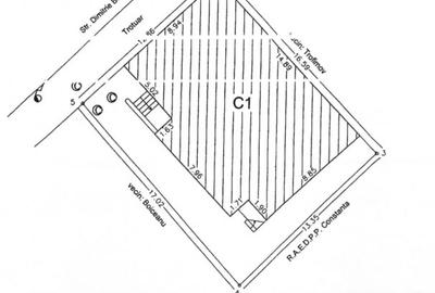 Vila S+P+1E de vanzare centru Constanta - 3