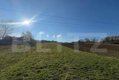 Teren de 2700 mp, în Cozia - 1