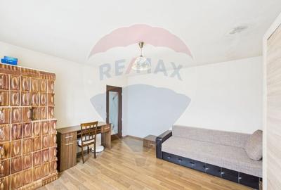 Casa spatioasa cu 5 camere si curte amenajata - Chitila - 18