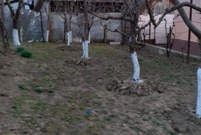 Casă cu 3 camere în Făget - 7