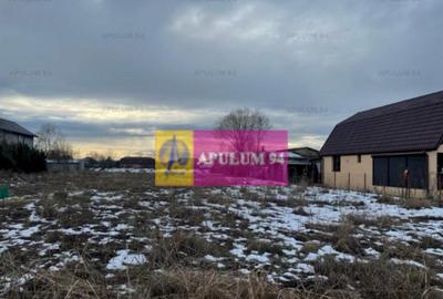 Teren Buda- Ilfov. - 1