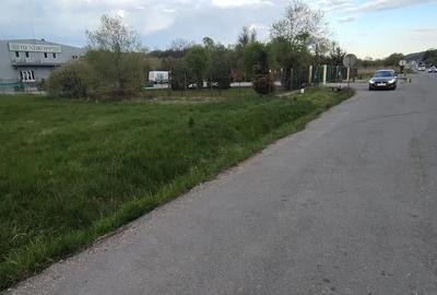 Teren de 4653 mp, în Căpușu Mare - 3