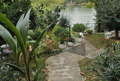 Spa?iu de birouri Straule?ti, Bucure?ti - 6