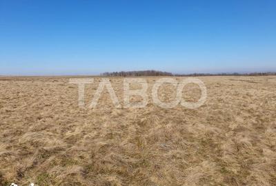 Teren de 600 mp, în Recea - 1