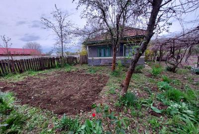 Spațiu comercial, în Merii Petchii - 7