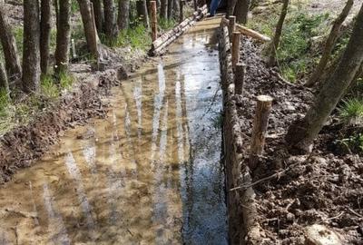 Proprietate specială, de 84 mp, în Dumbrăvița - 11