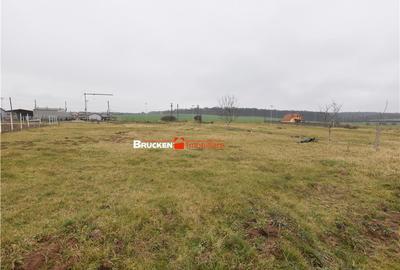 Teren de 600 mp, în Marghita - 2