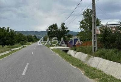 Teren Construcții intravilan de 5000 mp, în Lelești - 4