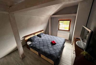 Vand cabana in Valiug - afacere la cheie - 2