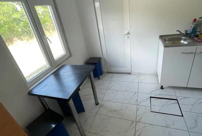 Vand schimb casa cu teren (schimb doar cu garsoniera in Timisoara) - 5