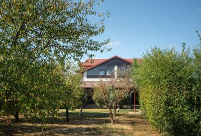 Casa de familie in Saftica - 35