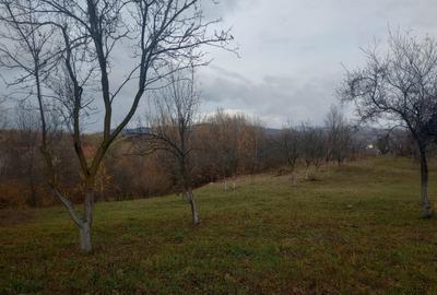 Teren intravilan Drajna 4062mp - 10