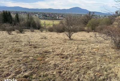Teren de 6000 mp, în Cristian - 1