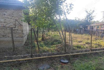 Casă cu 3 camere cu Teren 2913 Mp în Măhăceni - 2