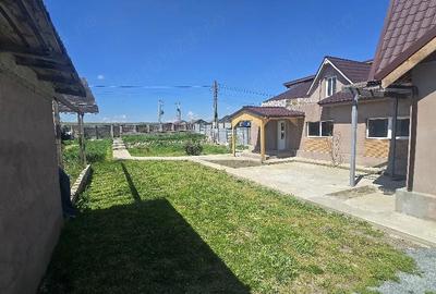 Casă cu Teren 6665 Mp în Poarta Albă - 2