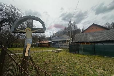 Casă cu 3 camere cu Teren 3440 Mp în Central - 4