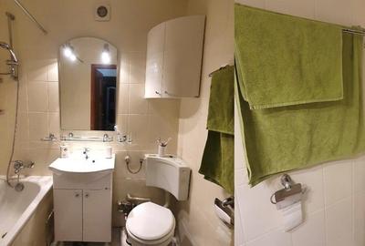 Apartament cu 2 camere semidecomandat, mobilat în Drumul Taberei - 3