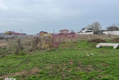 Spațiu comercial, în Domnești - 2