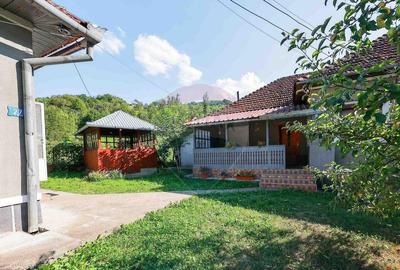 Casa cu anexe ?i teren de 4177 mp de vanzare, Munteni,... - 4