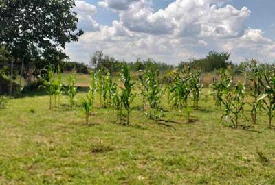 Casa cu teren GHIOROC - 2