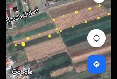 Teren de 10000 mp, în Măgureni - 2