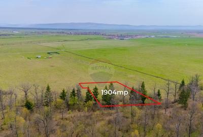 Teren Crizbav 1904 mp/PUZ/Langa Padure/Intravilan - 5