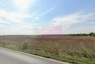 Teren extravilan de vanzare DN1 Paulesti (zona Movila Vulpii) - 3