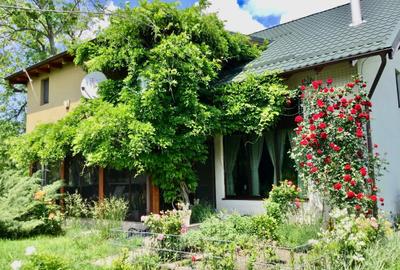 Vila de poveste 5 camere zona Bolintin Vale, judetul Giurgiu - 8