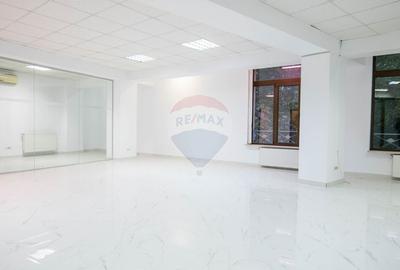 INVESTITIE - Vanzare vila finalizata S+P+2E+M, zona Doamna Ghica - 11