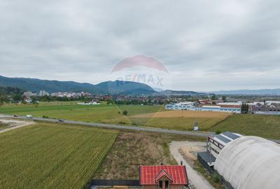 Teren de 790 mp, în Baciu - 13