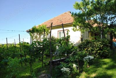 Casă cu 5 camere cu Teren 2900 Mp în Central - 4