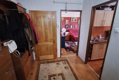 Apartament cu 3 camere decomandat în Ostroveni - 2