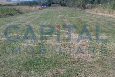 Teren agricol extravilan de 2000 mp, în Sărmașu