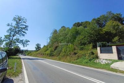 Resita, Teren Intravilan 700 Mp., 25 Euro/Mp., Calea Caranse - 7