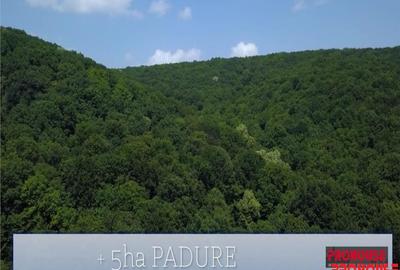 Valea Budului - Teren intravilan. Lac. Padure - 6