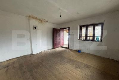 Casa cu 2 camere in Densus, 20 km de Manastirea Prinslop - 3