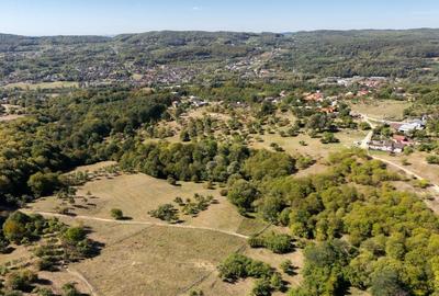 Terenuri 12.225 mp - Ramnicu Valcea, Aranghel - 1