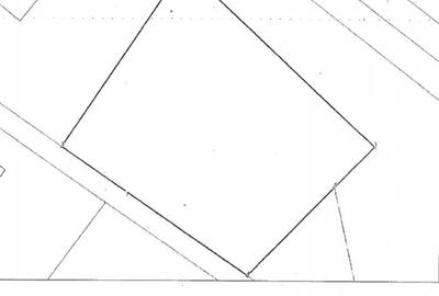 Teren de 2928 mp, în Viișoara - 3