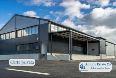 Depozit, Hala Industriala de inchiriat, Giarmata, Timisoara - 4