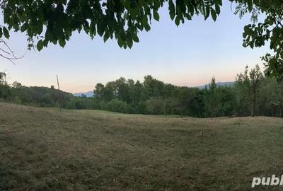 Teren de 7.5 mp, în Homorâciu - 2