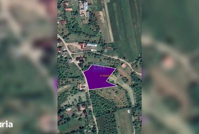 Teren de 5323 mp, în Josenii Bârgăului