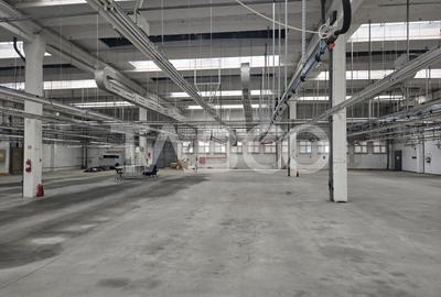 Spațiu industrial, de 1,923 mp, în Cisnădie - 3
