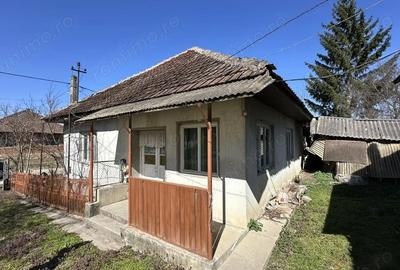 Casă cu 3 camere în Mânău - 3