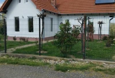 Casă individuală cu 2 camere cu Teren 3500 Mp în Calea Caransebeșului - 13