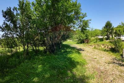 Teren de 5144 mp, în Sighișoara - 4