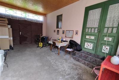 Casă individuală cu 8 camere cu Teren 3800 Mp în Răchitova - 13