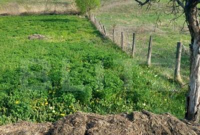 Teren intravilan/extravilan - 12